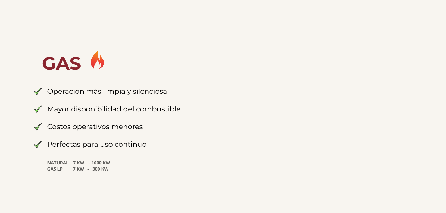 Plantas eléctricas de alta calidad con instalación profesional y mantenimiento especializado. Garantizamos energía continua para tu negocio. (16)