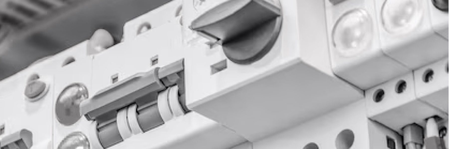 WhatsApp Image 2024-12-17 at 03.36.35 (3)